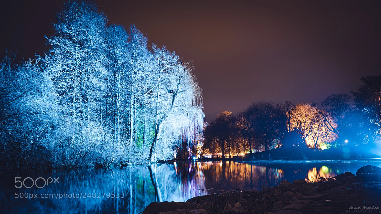 Canon EOS 6D Mark II sample photo. Frozentree photography