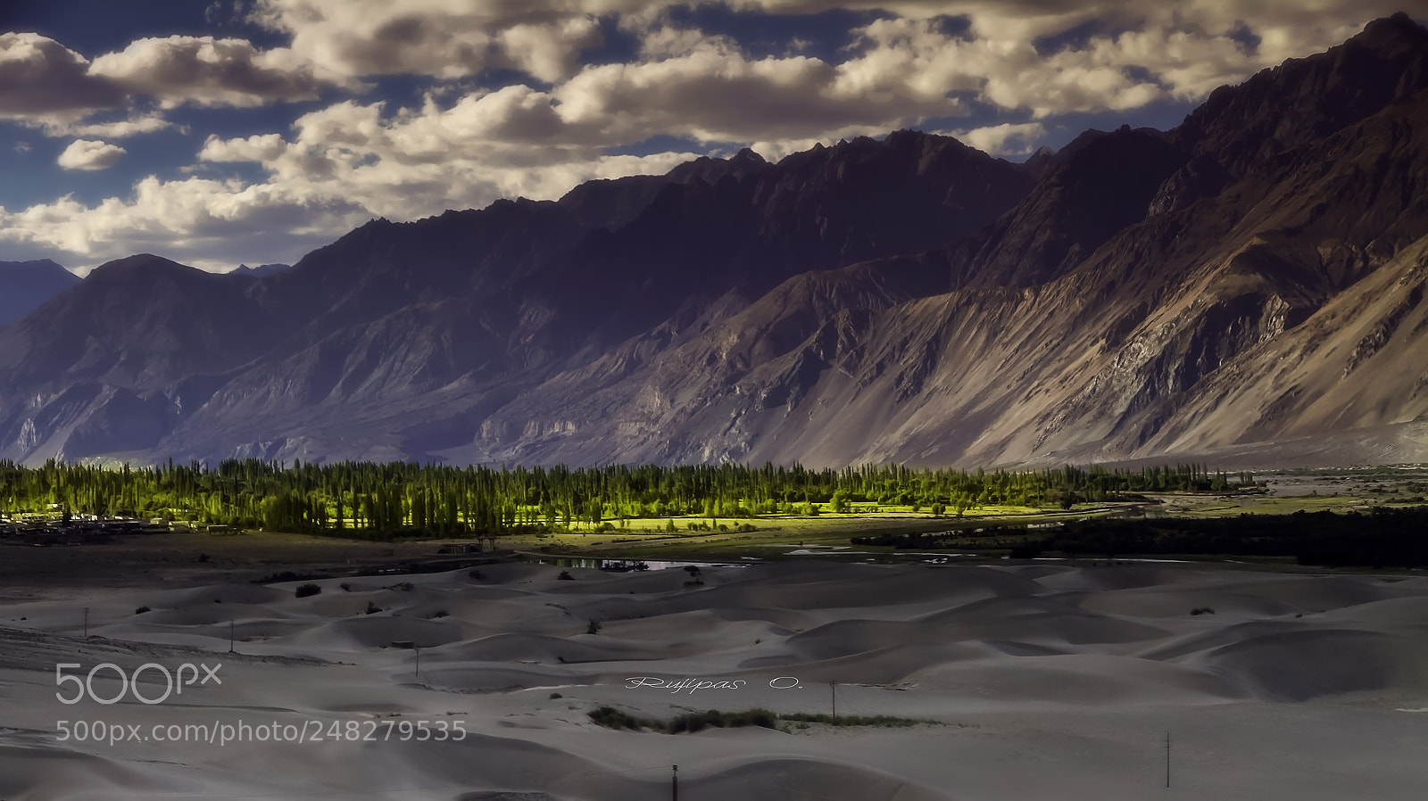Canon EOS 7D sample photo. Forest of leh,india photography