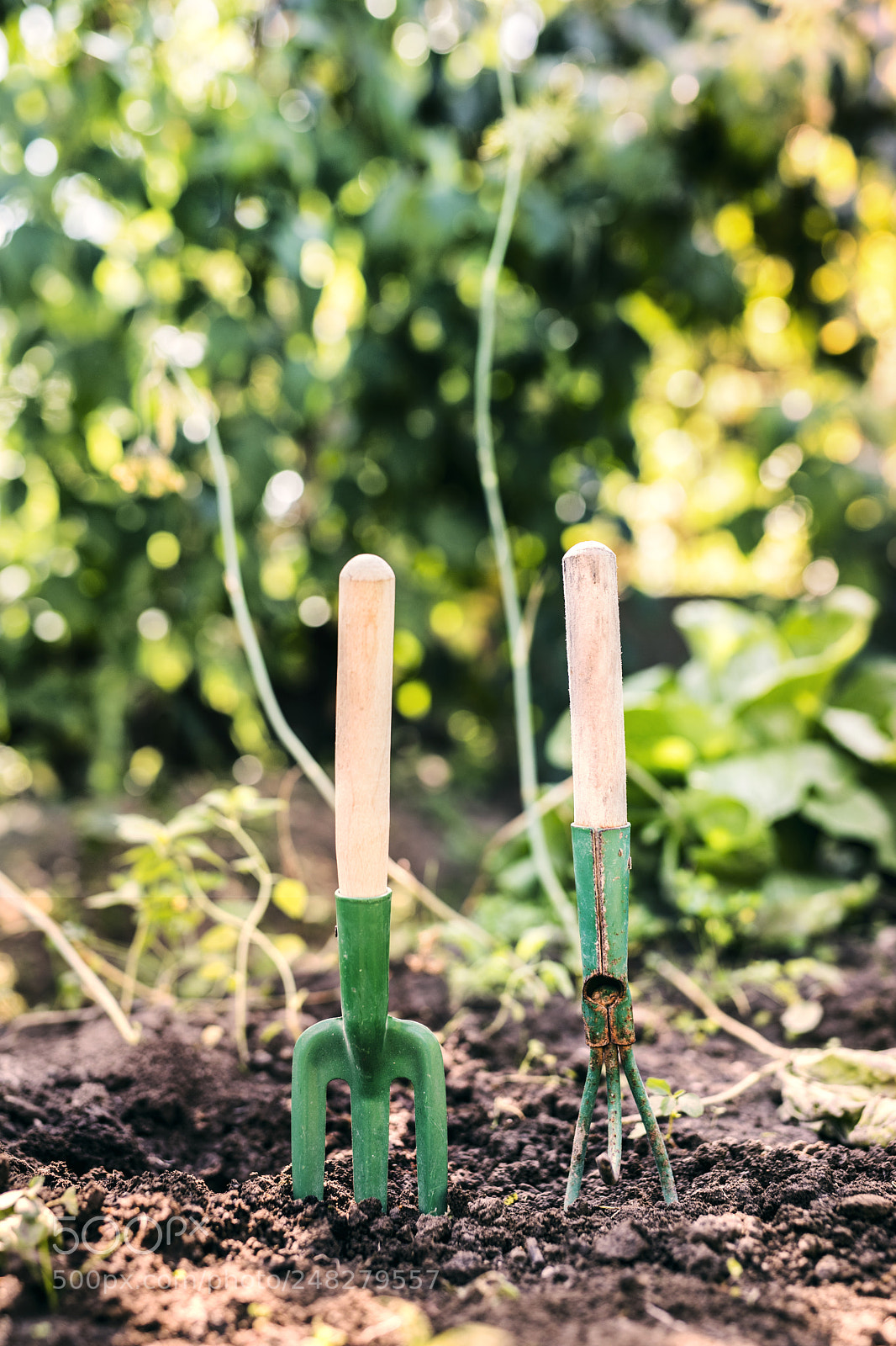 Nikon D5 sample photo. Composition of garden tools photography