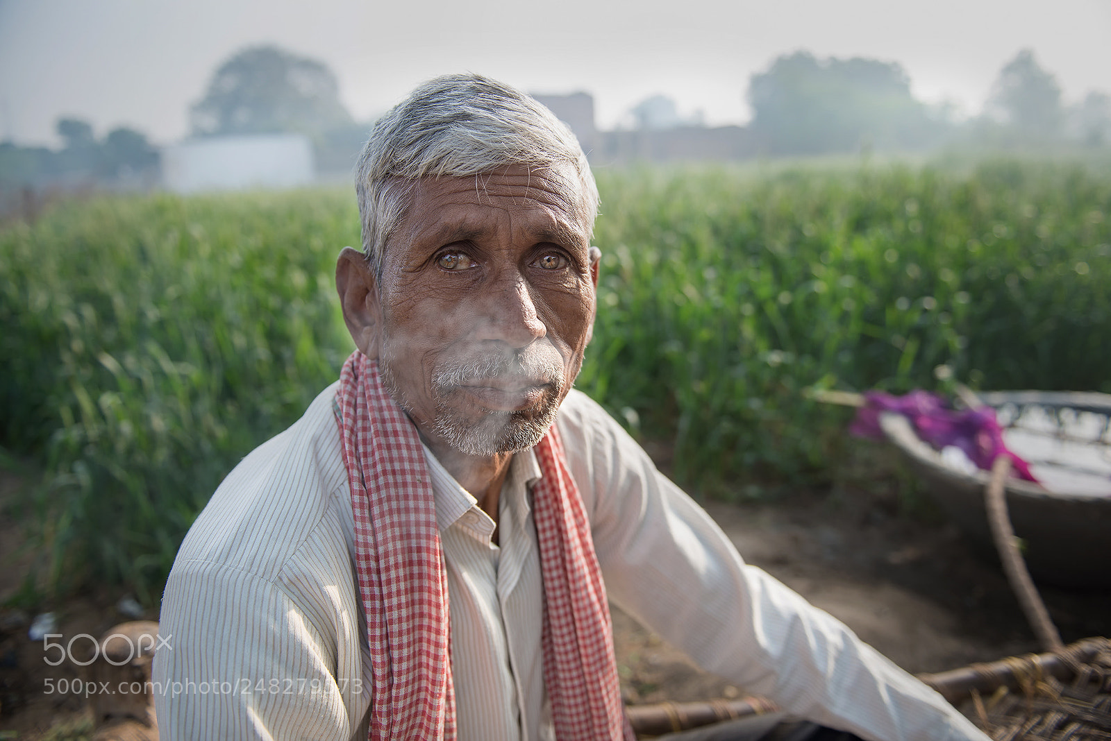 Nikon D800E sample photo. Ole man photography