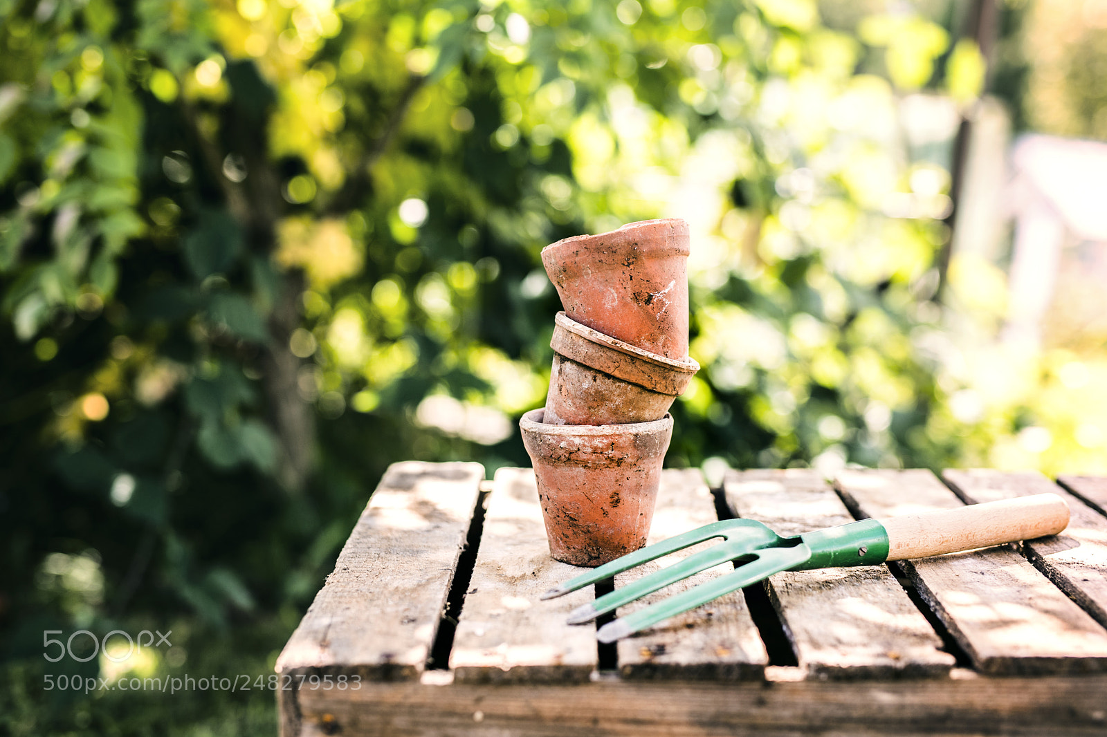 Nikon D5 sample photo. Garden tool and flower photography