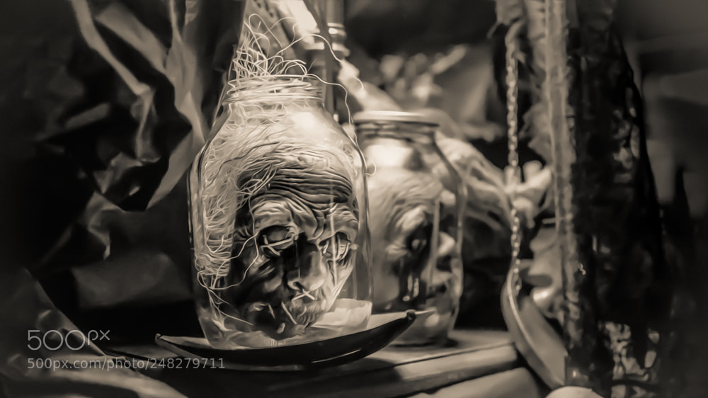 Nikon D5600 sample photo. Jar heads photography