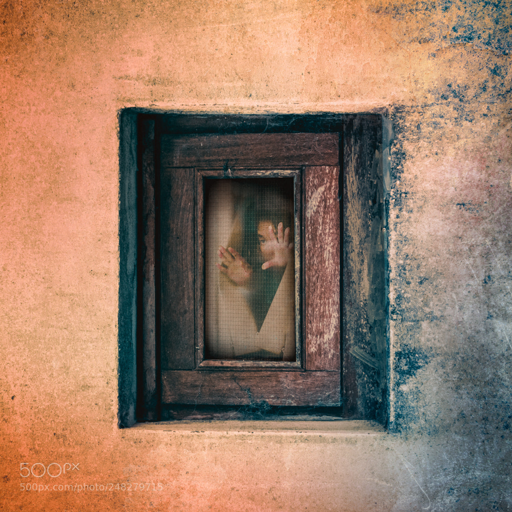 Nikon D5600 sample photo. Window woman photography