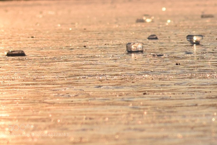 Nikon D5300 sample photo. Ice photography