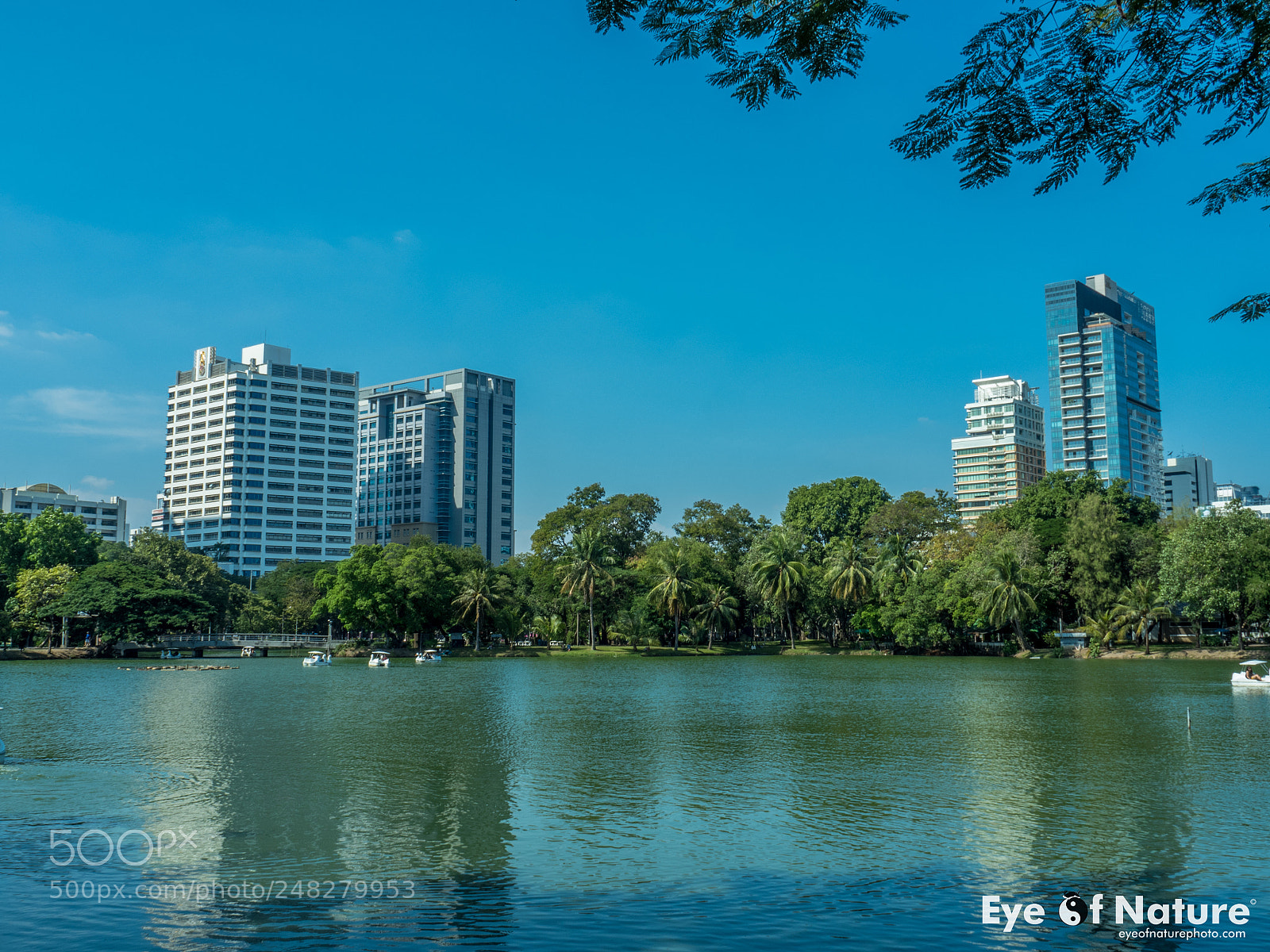 Olympus OM-D E-M5 II sample photo. Lumpini park view! photography