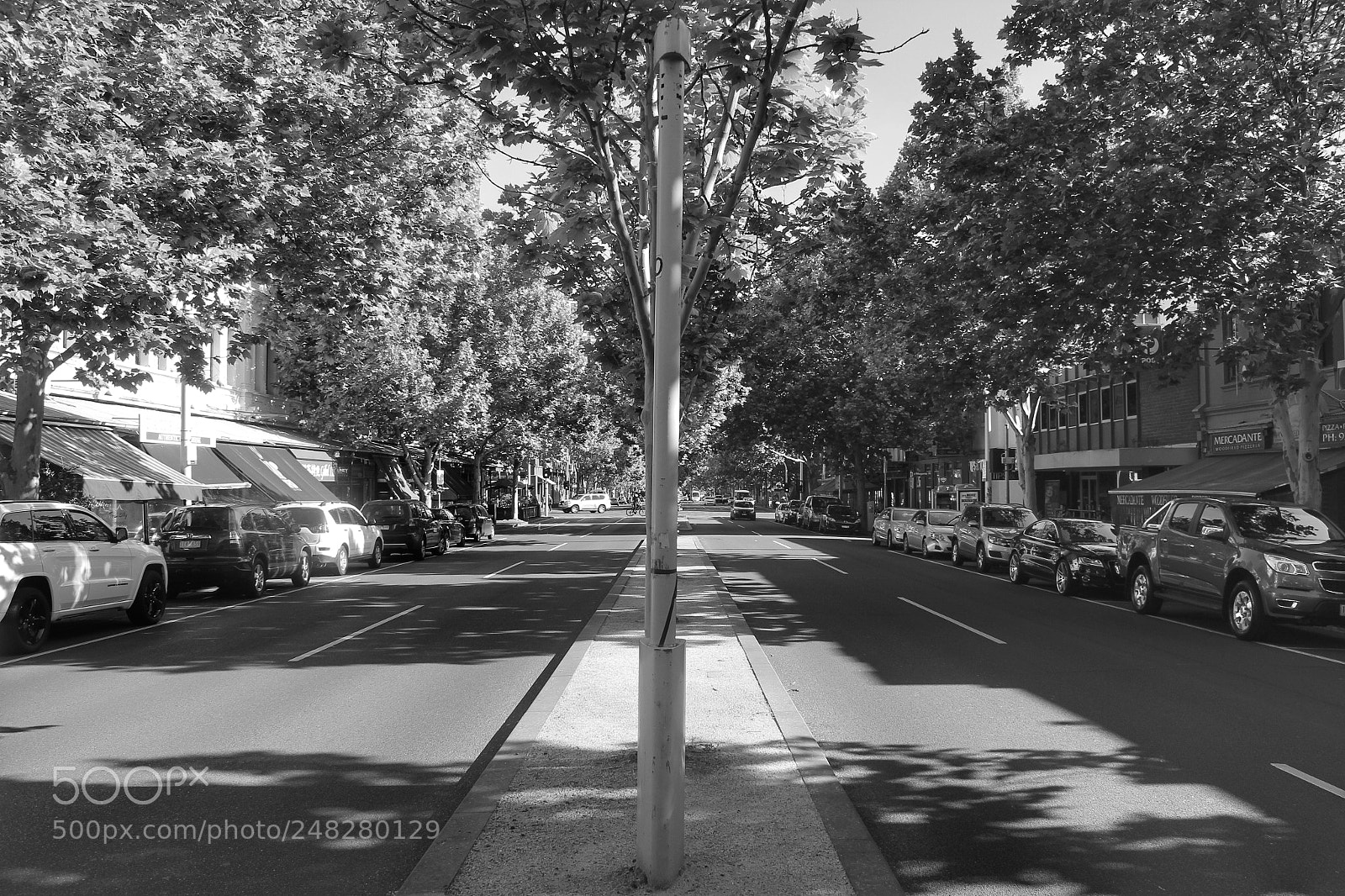 Canon EOS 600D (Rebel EOS T3i / EOS Kiss X5) sample photo. Middle of the road photography