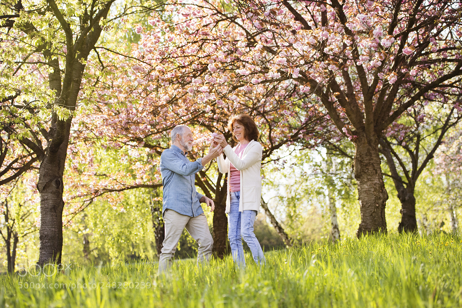 Nikon D5 sample photo. Beautiful senior couple in photography