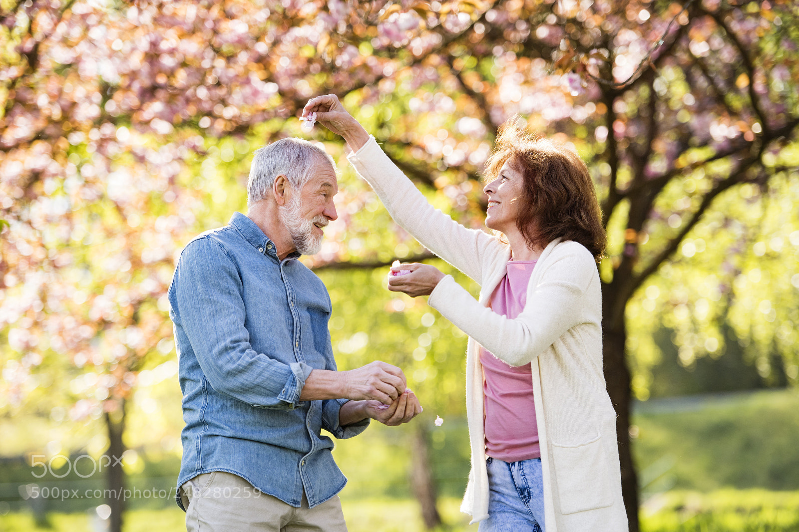 Nikon D5 sample photo. Beautiful senior couple in photography