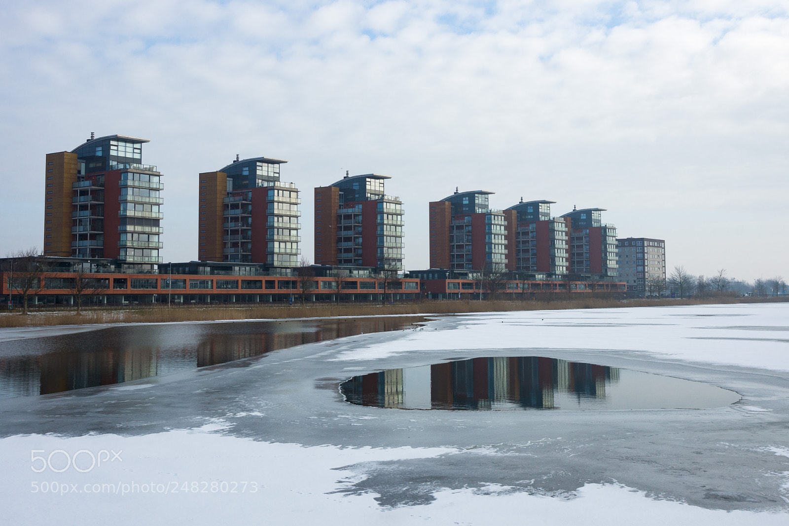 Sony SLT-A65 (SLT-A65V) sample photo. Holland photography
