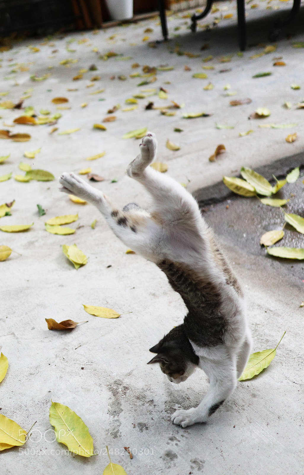 Canon EOS M6 sample photo. Img photography