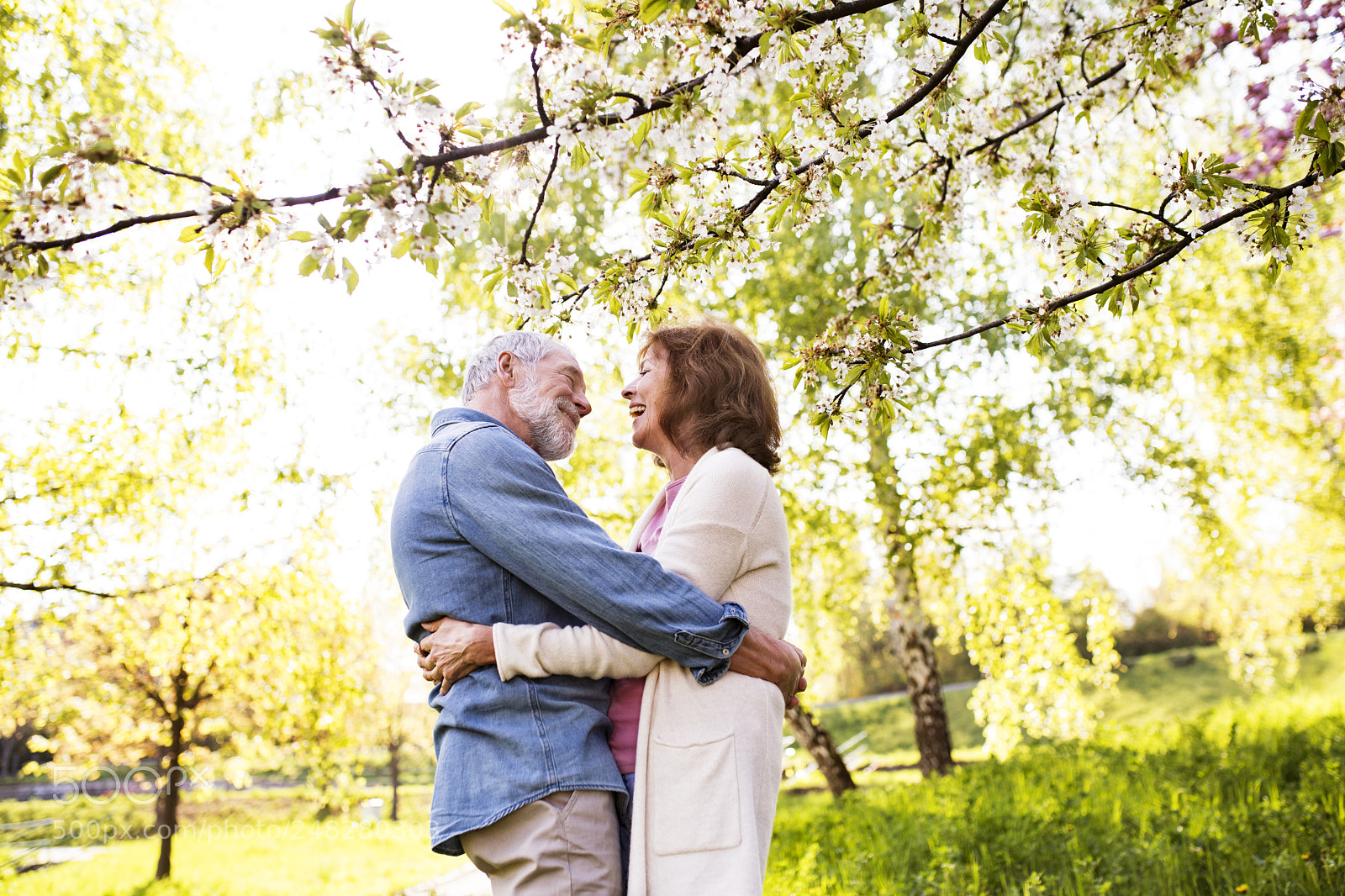 Nikon D5 sample photo. Beautiful senior couple in photography
