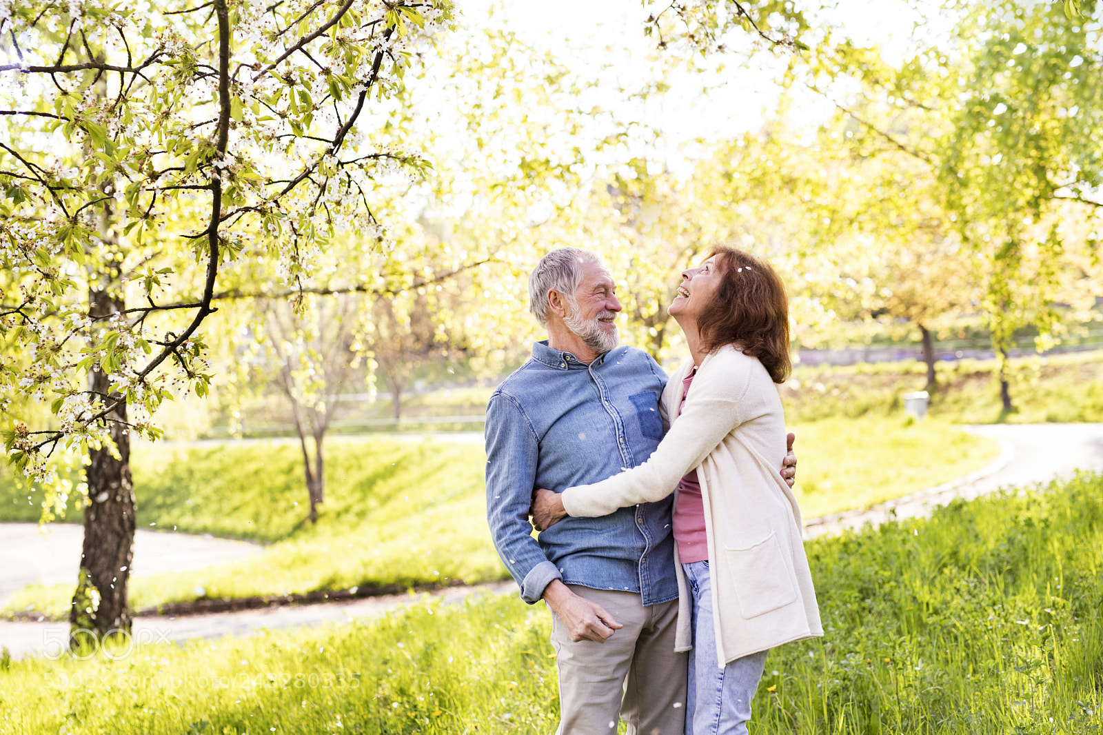 Nikon D5 sample photo. Beautiful senior couple in photography