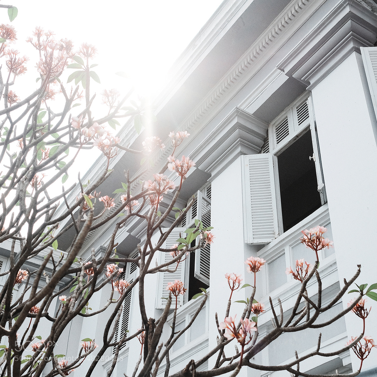 Fujifilm X-Pro2 sample photo. Copy photography