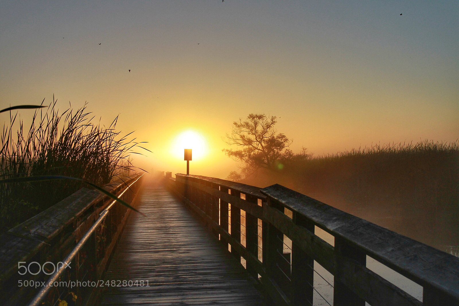 Canon EOS 7D sample photo. Sunrise atvpointvpelee photography