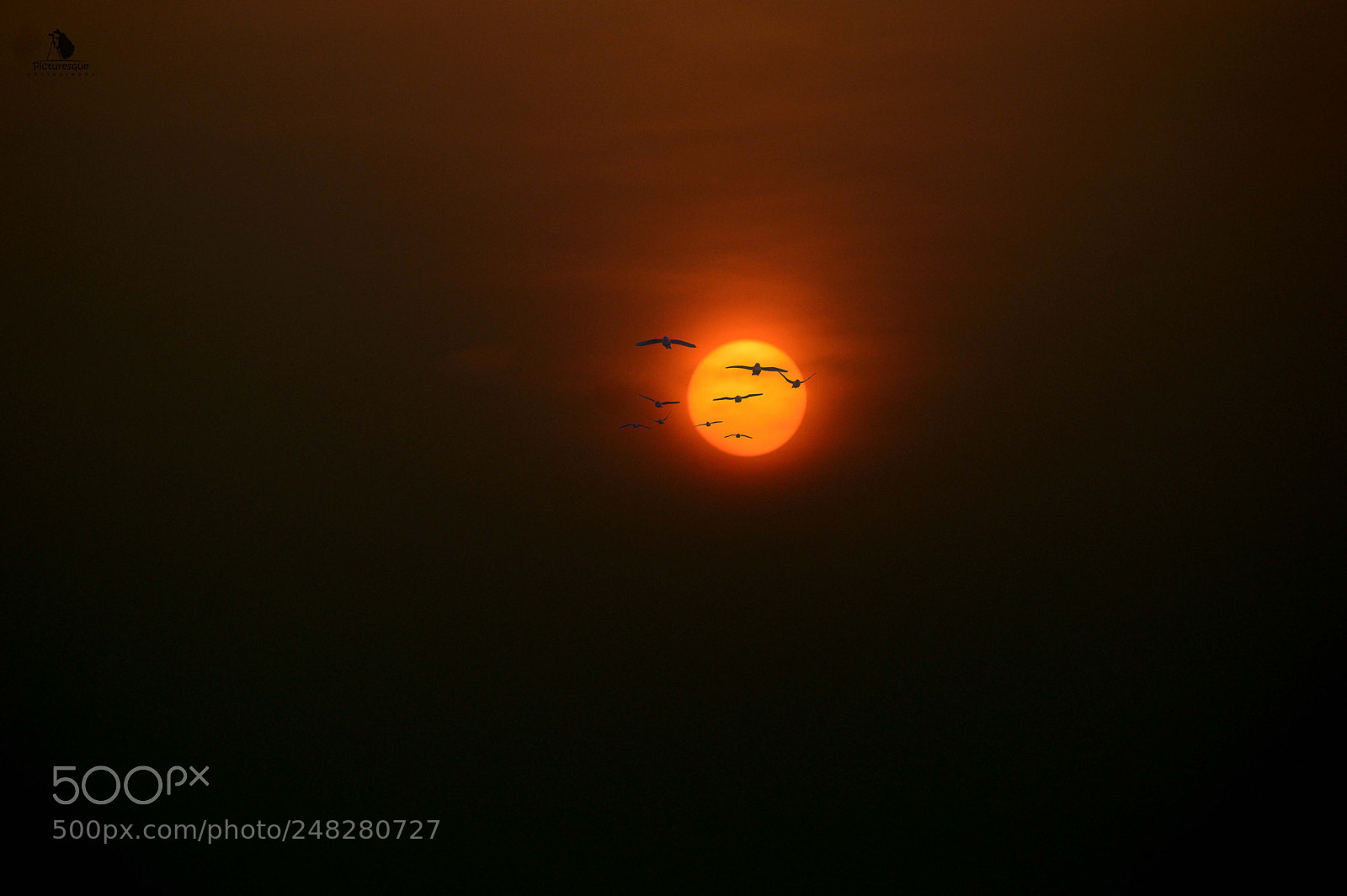 Nikon D3200 sample photo. ☀ || beautiful sunset || ☀ photography