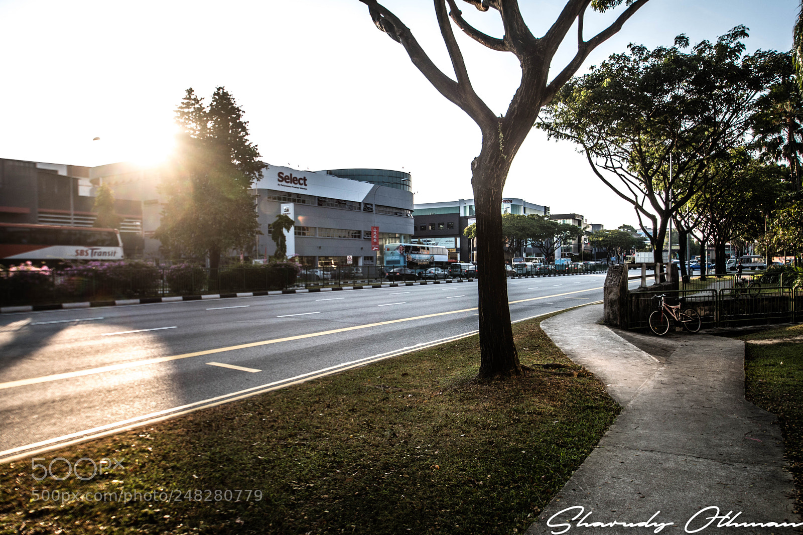 Nikon D5500 sample photo. February photography