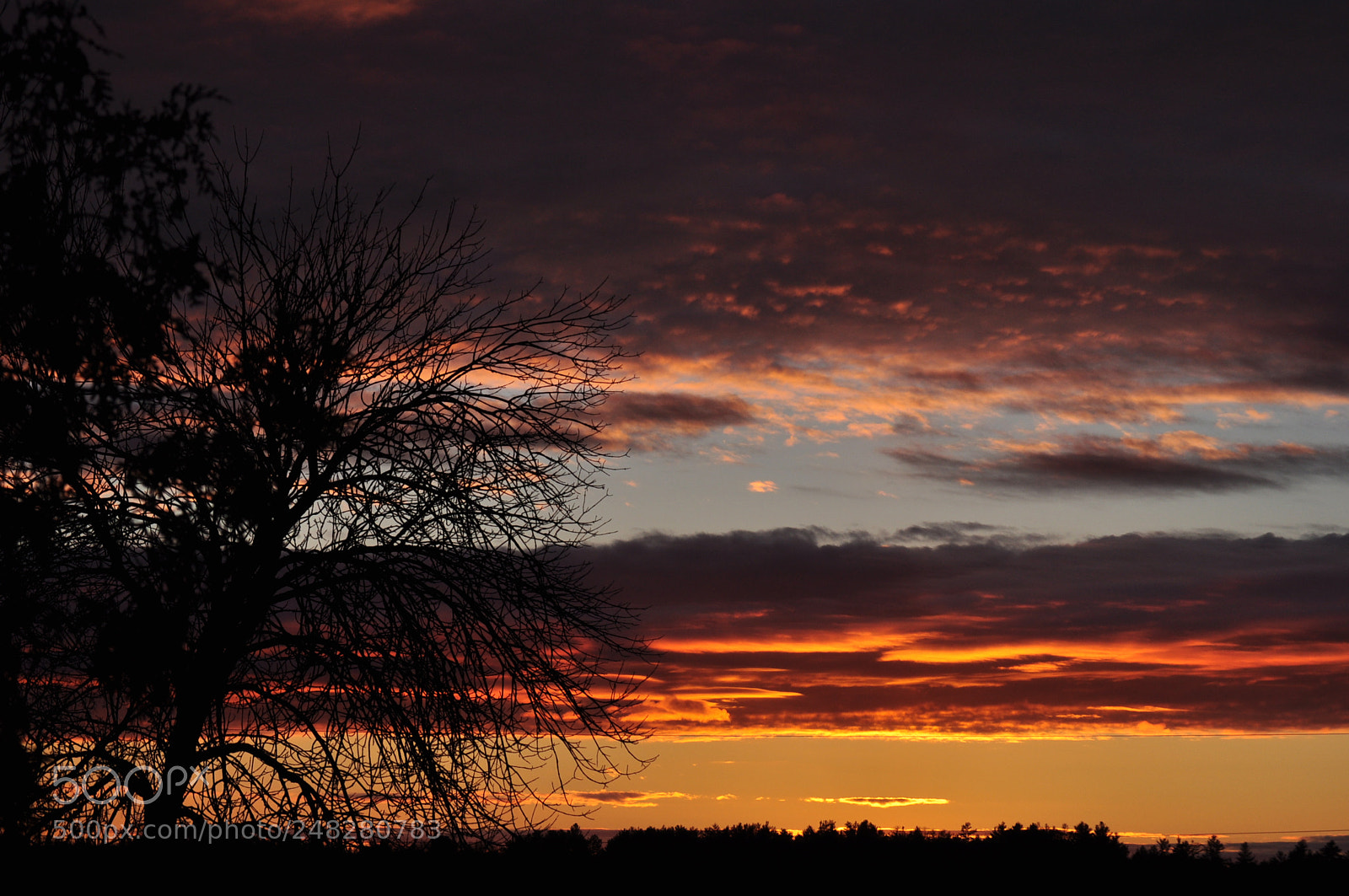 Nikon D5000 sample photo. The contrast photography