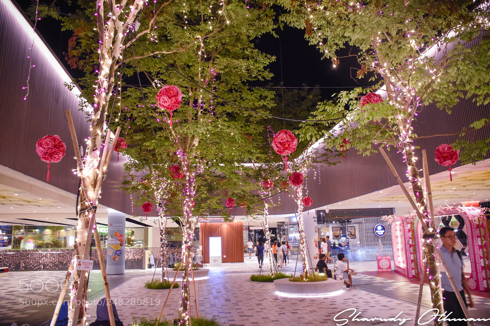Nikon D5500 sample photo. February photography