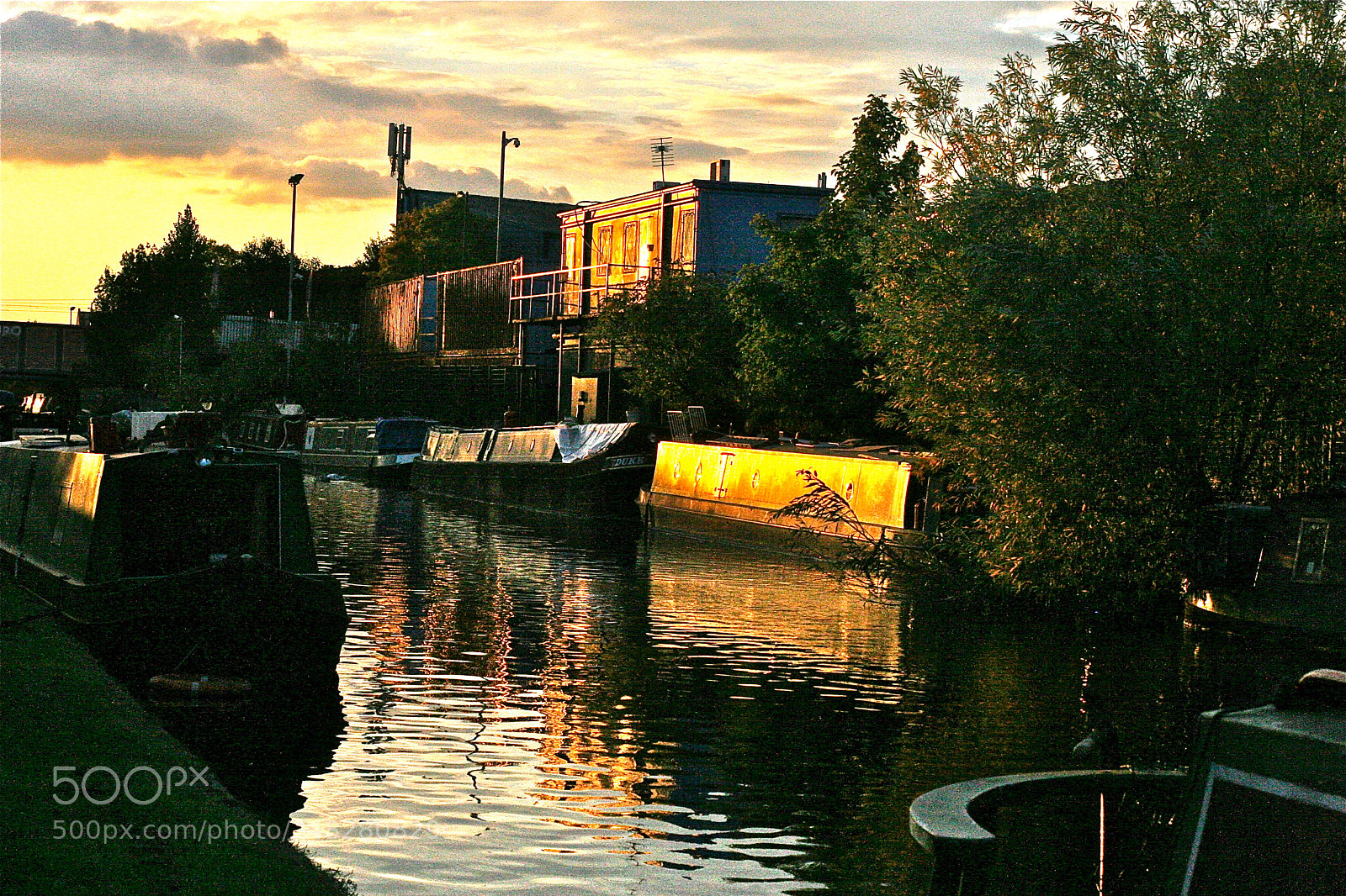Canon EOS 30D sample photo. Industrial gold photography