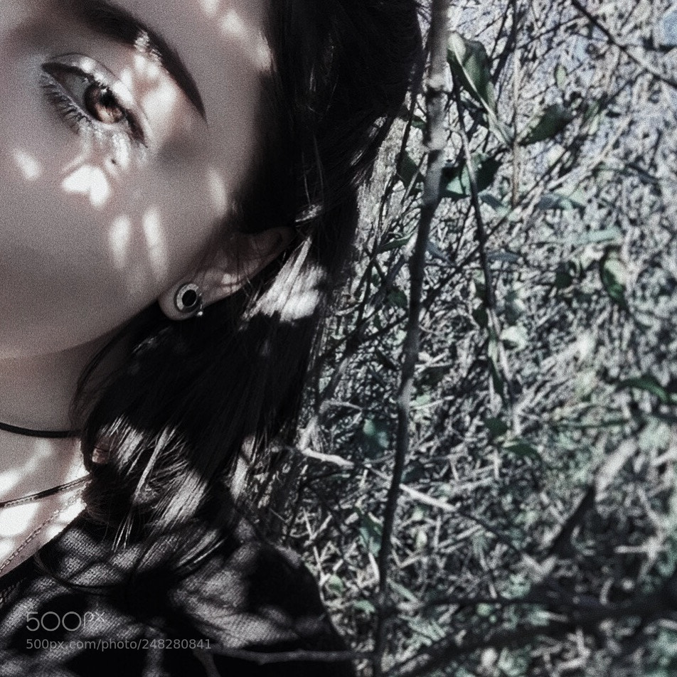 Apple iPhone 6 sample photo. Untitled photography