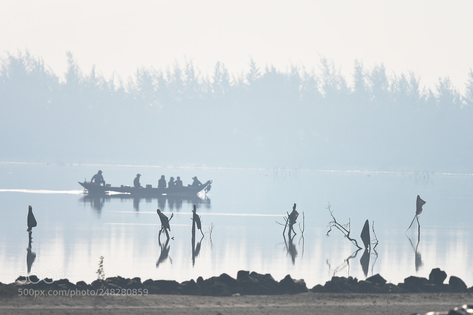 Nikon D500 sample photo. Morning in tr ng photography