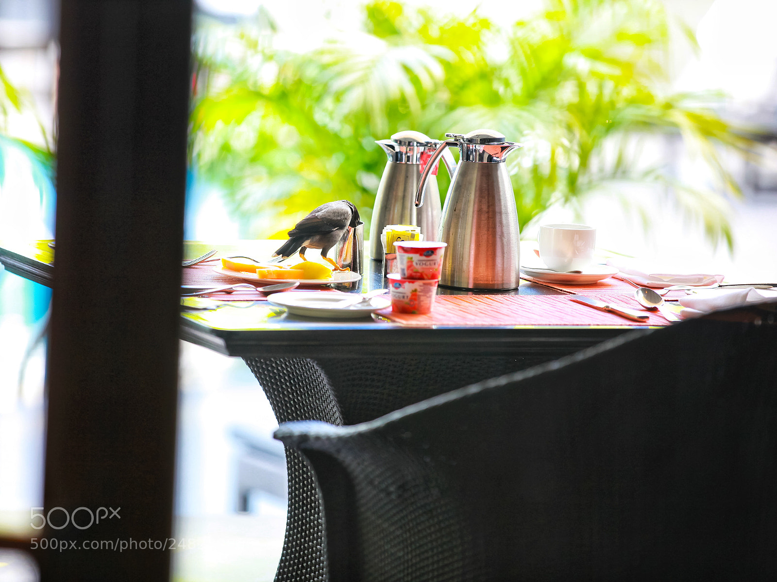 Canon EOS 5D Mark II sample photo. A hurried meal photography