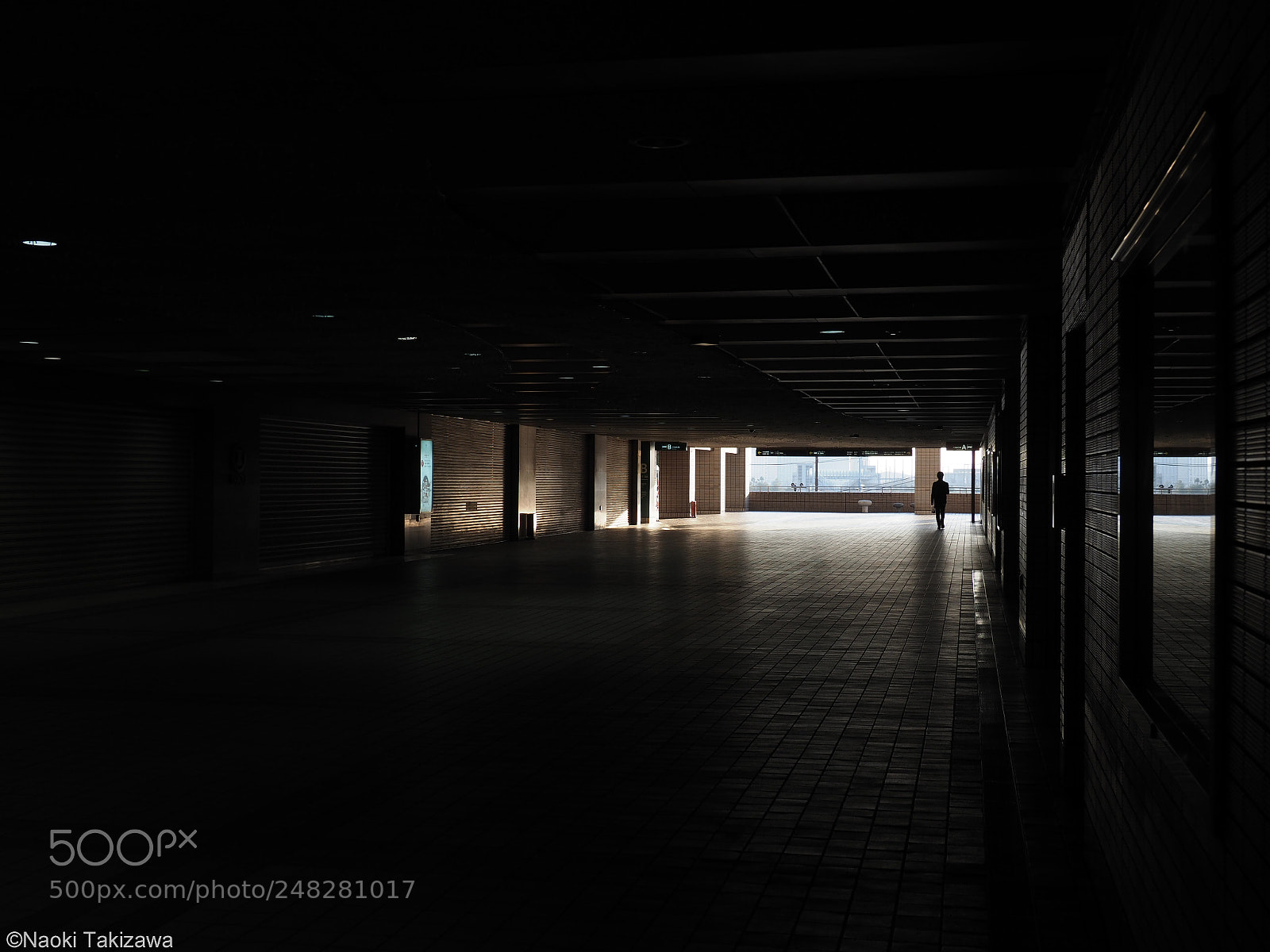 Olympus OM-D E-M1 Mark II sample photo. Light in the dark photography