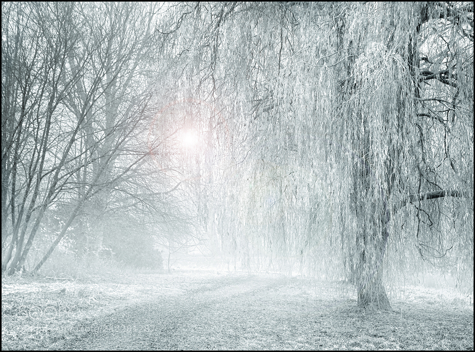 Canon EOS 700D (EOS Rebel T5i / EOS Kiss X7i) sample photo. Winter mood photography
