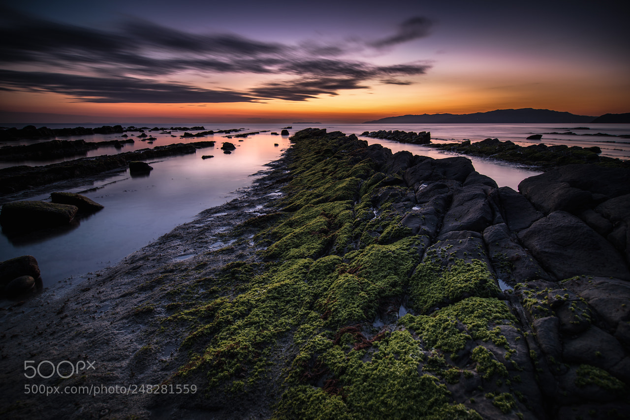 Pentax K-1 sample photo. Coast of green rocks photography