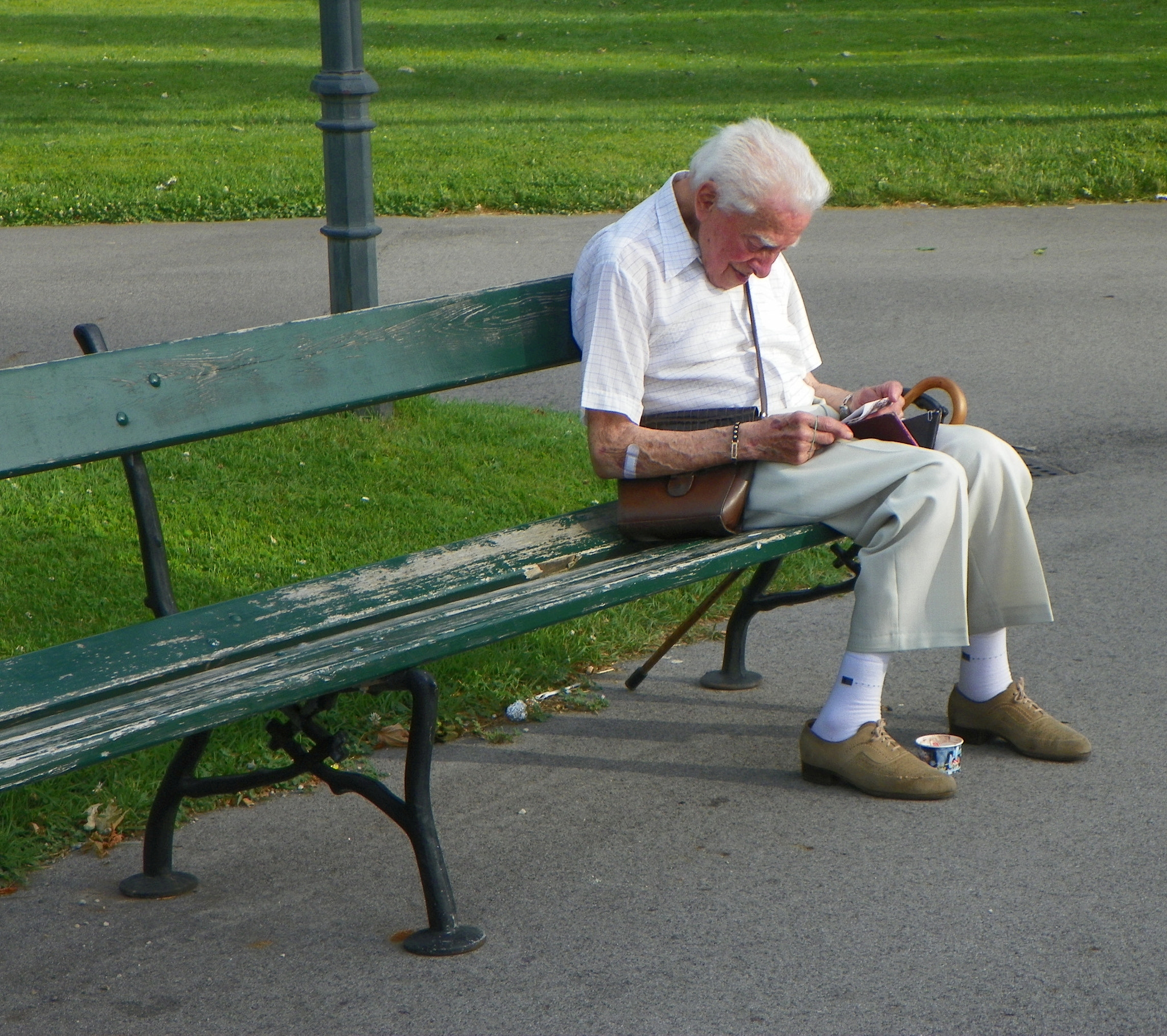 Kodak EasyShare Z981 sample photo. () photography