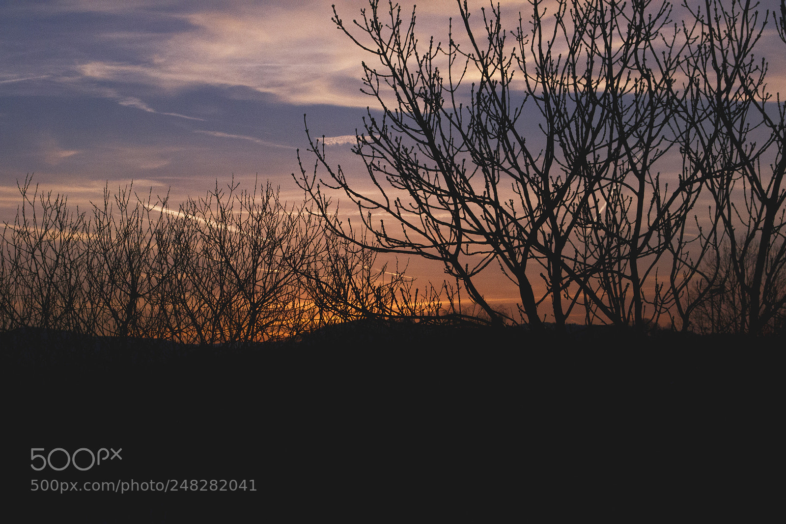 Nikon D3100 sample photo. Dusk photography