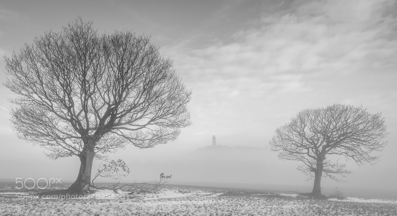 Nikon D850 sample photo. Castle between the trees photography