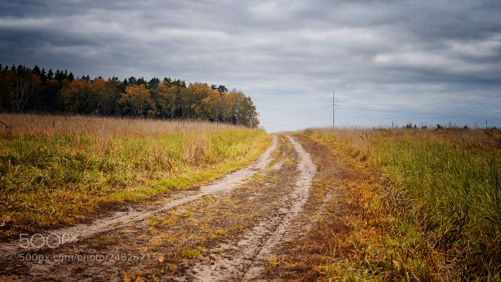 Sony SLT-A35 sample photo. Осенняя дорога photography