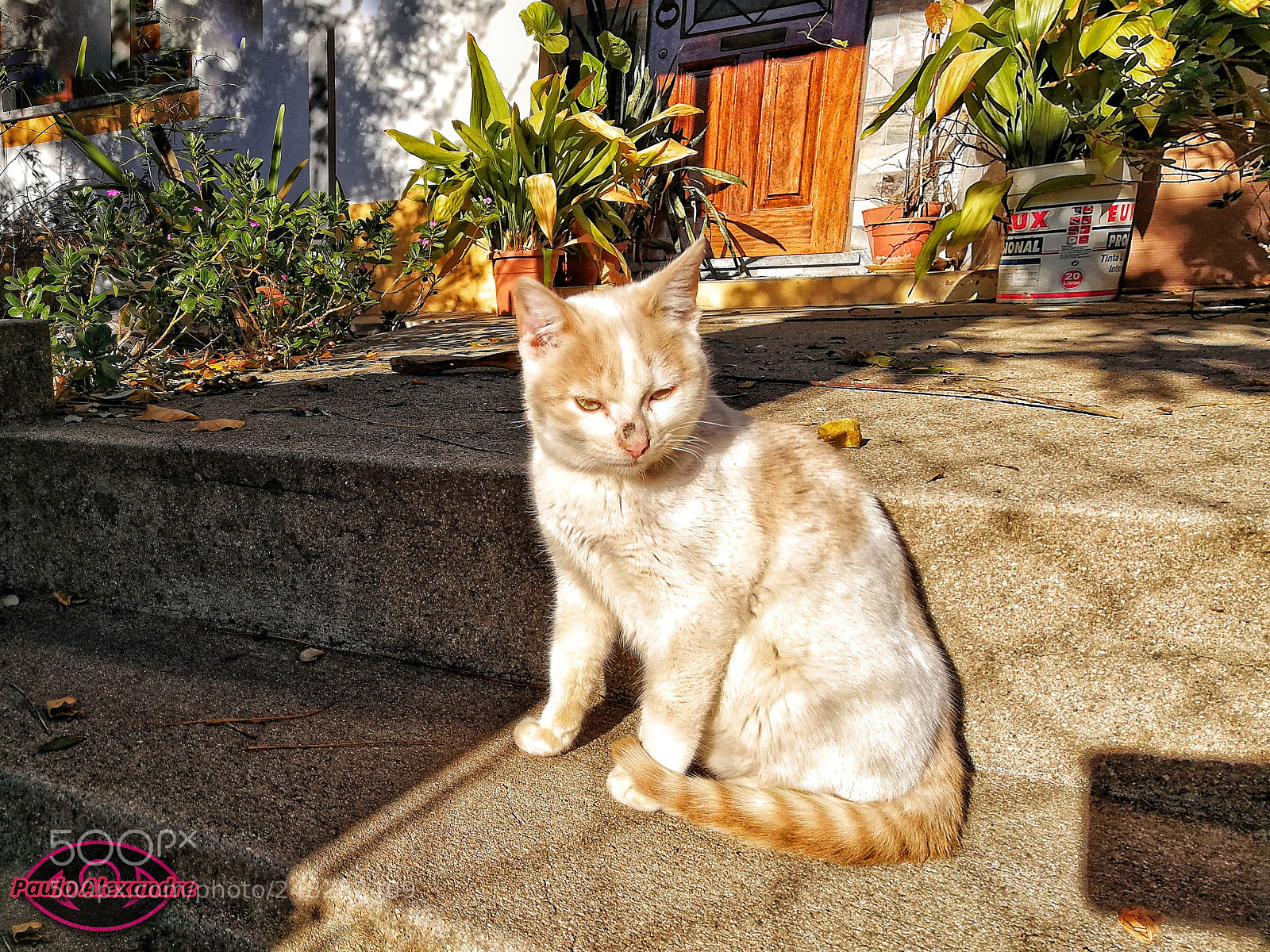 HUAWEI P10 Plus sample photo. Taken with the huawei photography