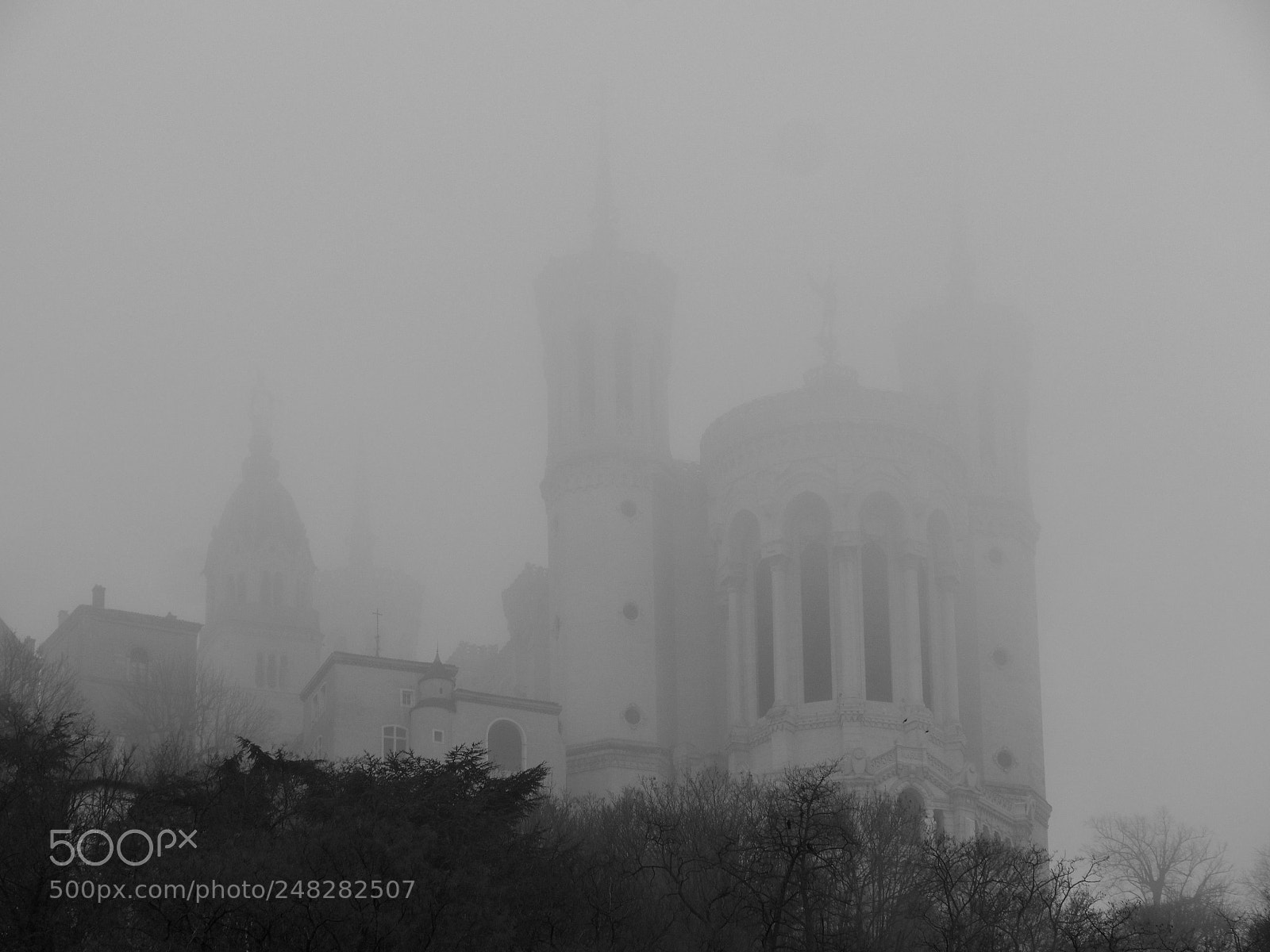 Panasonic Lumix DC-GH5 sample photo. Brouillard photography