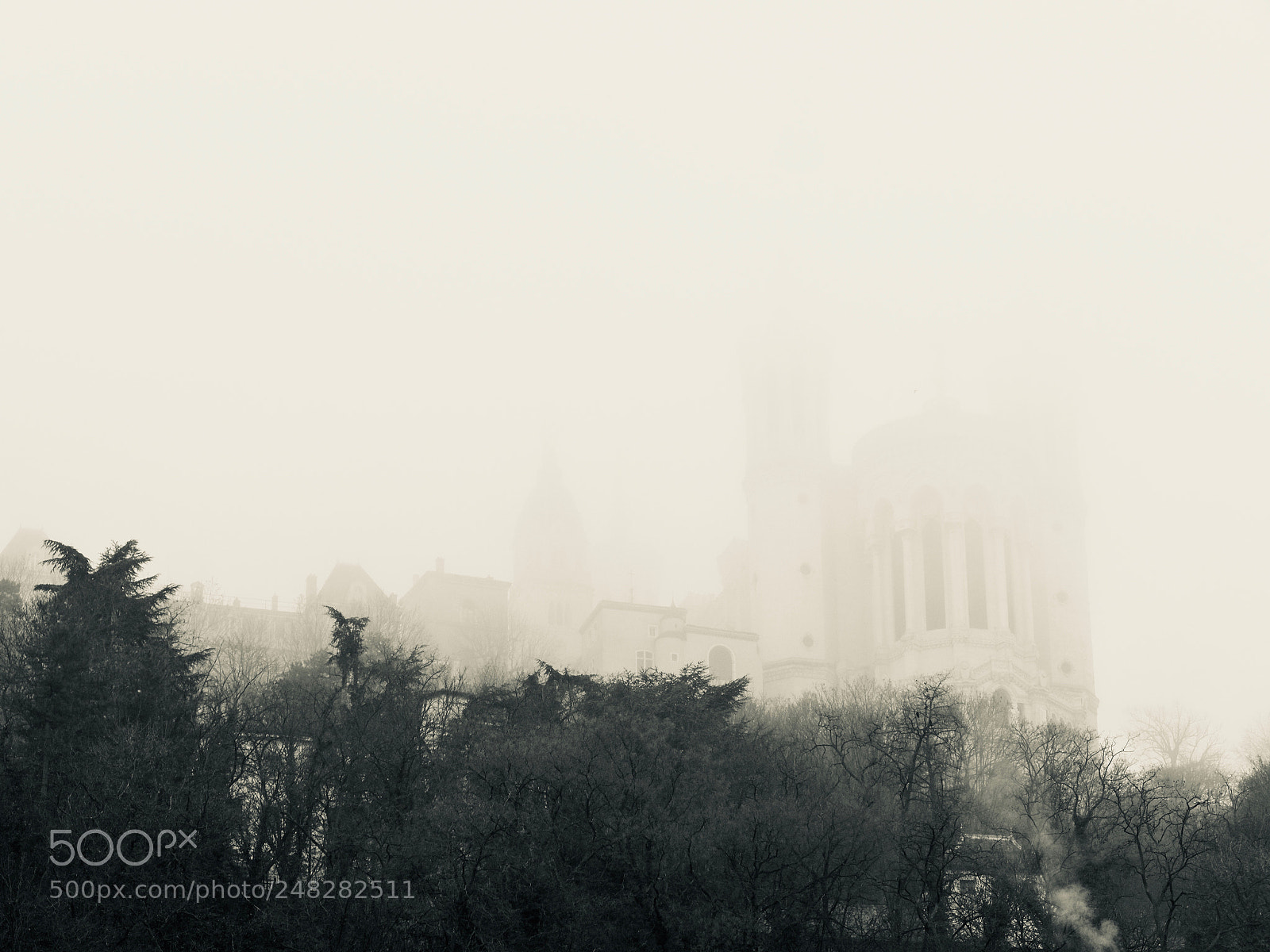 Panasonic Lumix DC-GH5 sample photo. Brouillard photography
