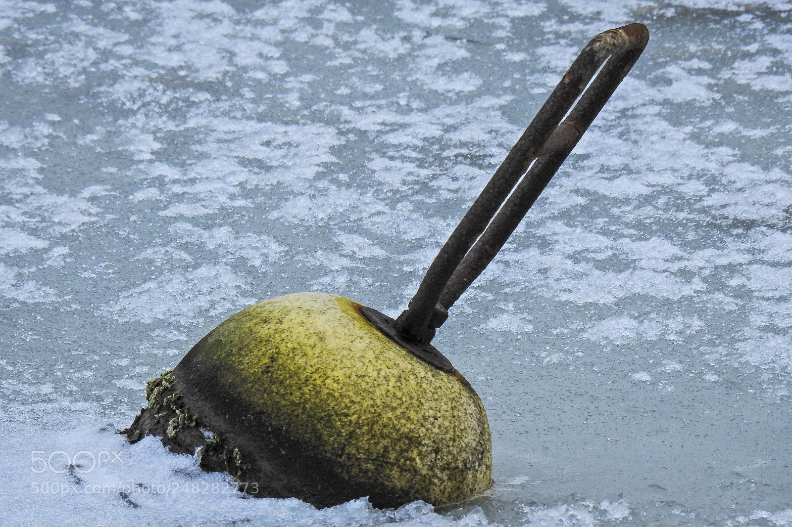 Nikon Coolpix P900 sample photo. Ice photography