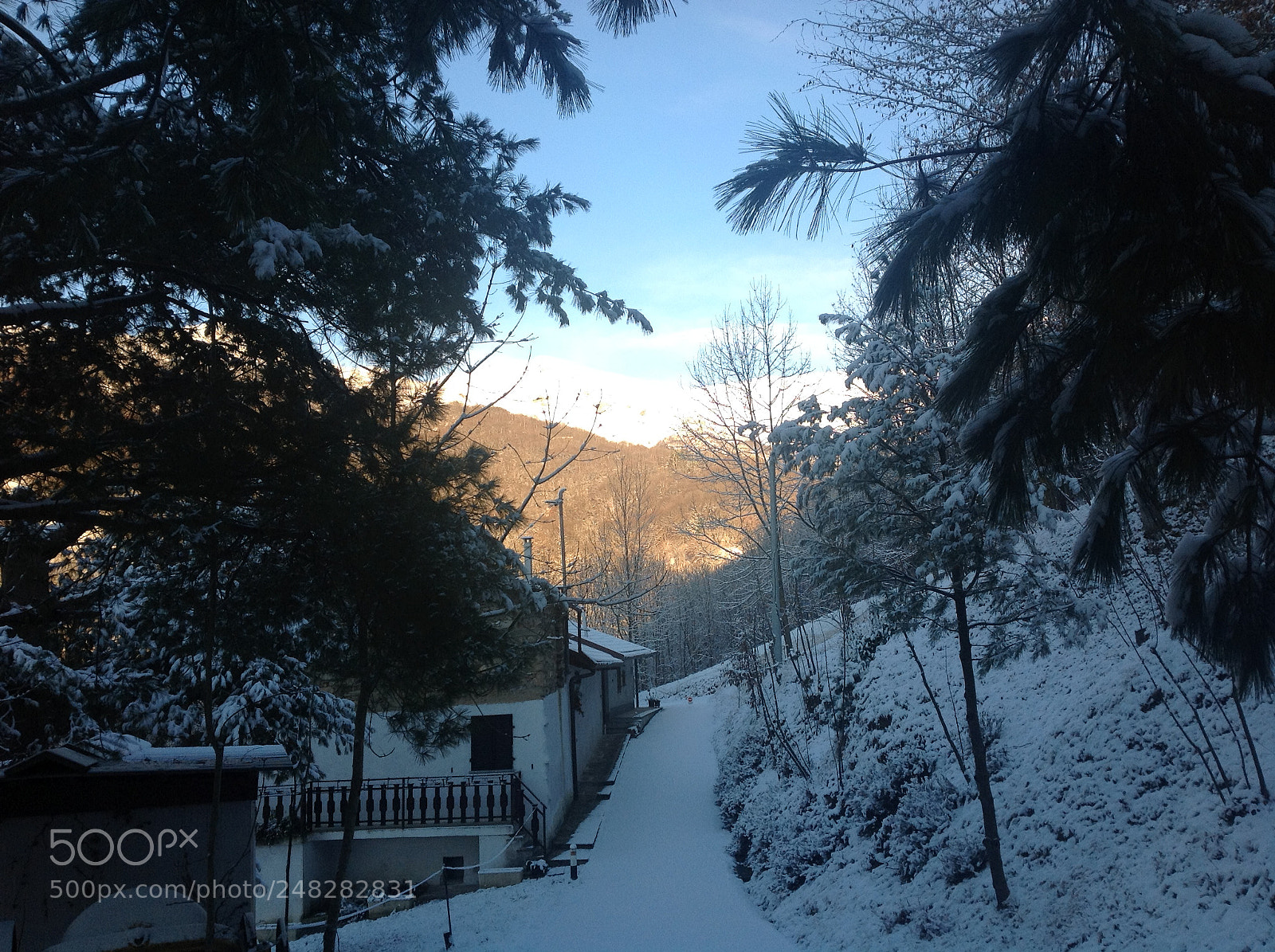 Apple iPad sample photo. House in the forest photography