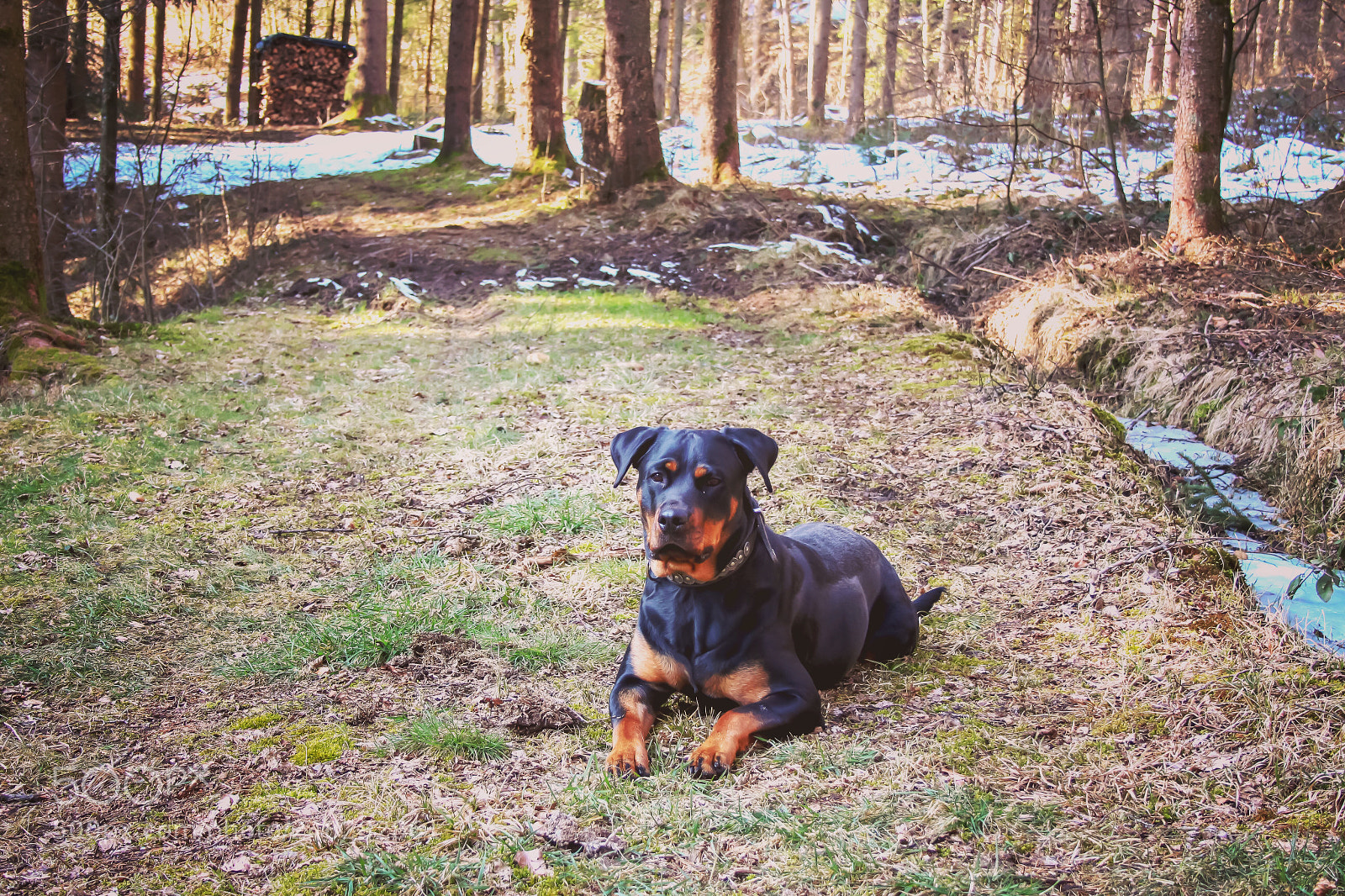 Canon EOS 650D (EOS Rebel T4i / EOS Kiss X6i) sample photo. Bonny❤️ photography