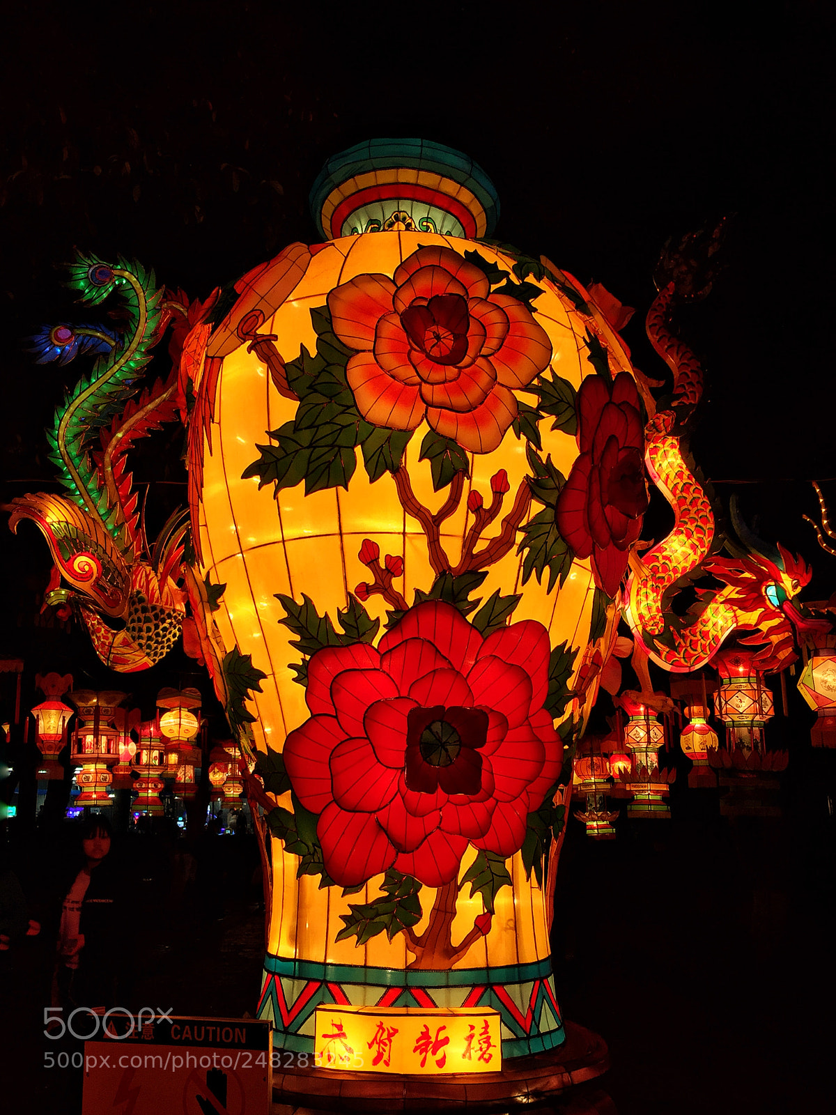 Apple iPhone 6 sample photo. Night of yangshuo park photography