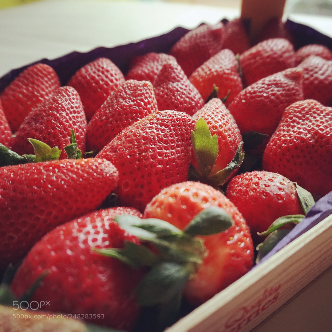 Sony a5100 sample photo. Fresas, strawberries photography