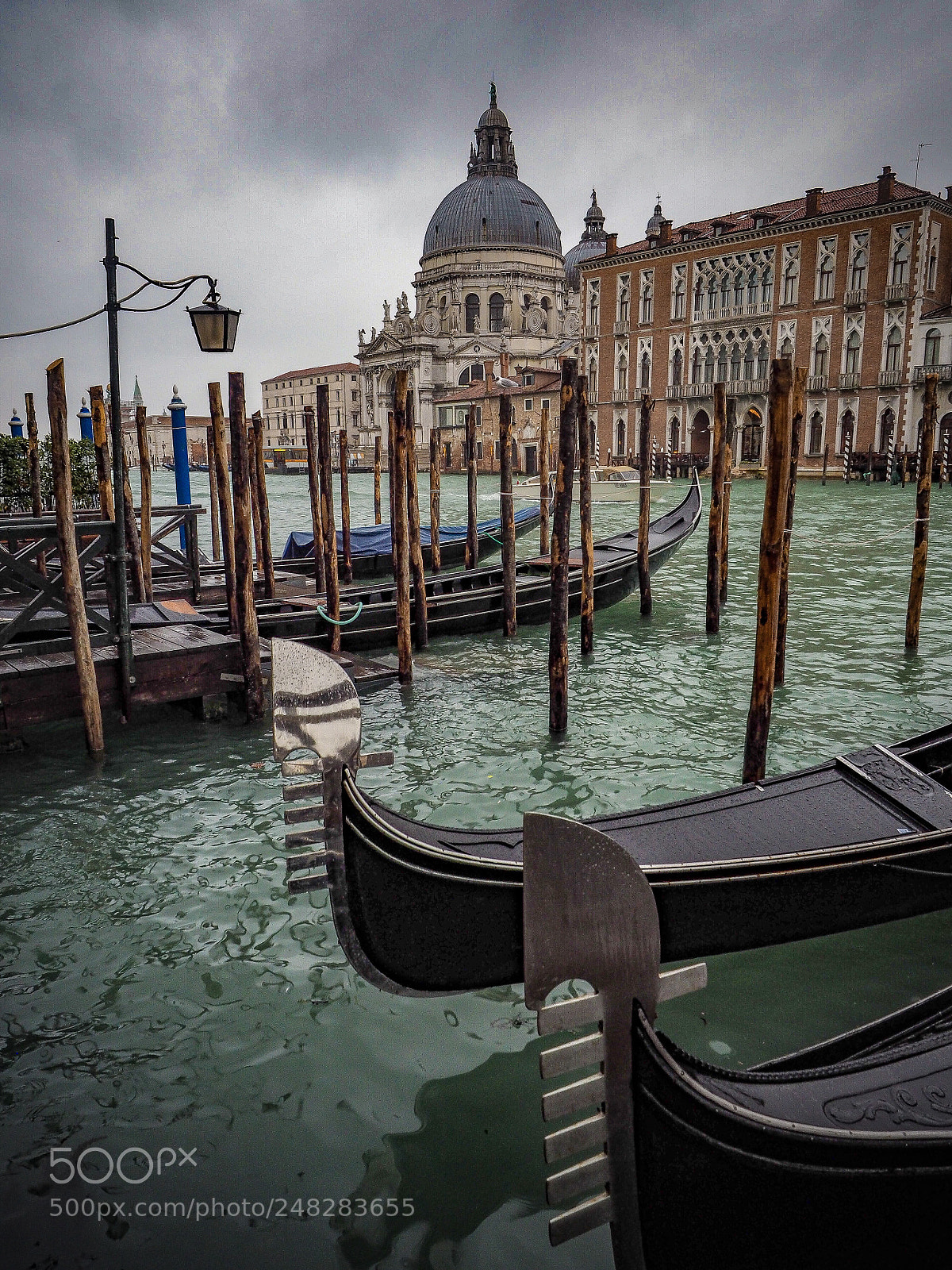 Olympus OM-D E-M10 sample photo. Grand canal venice/venezia photography