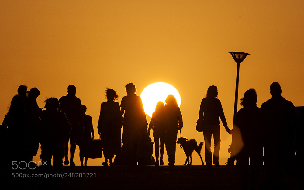 Canon EOS-1D Mark II N sample photo. Untitled photography