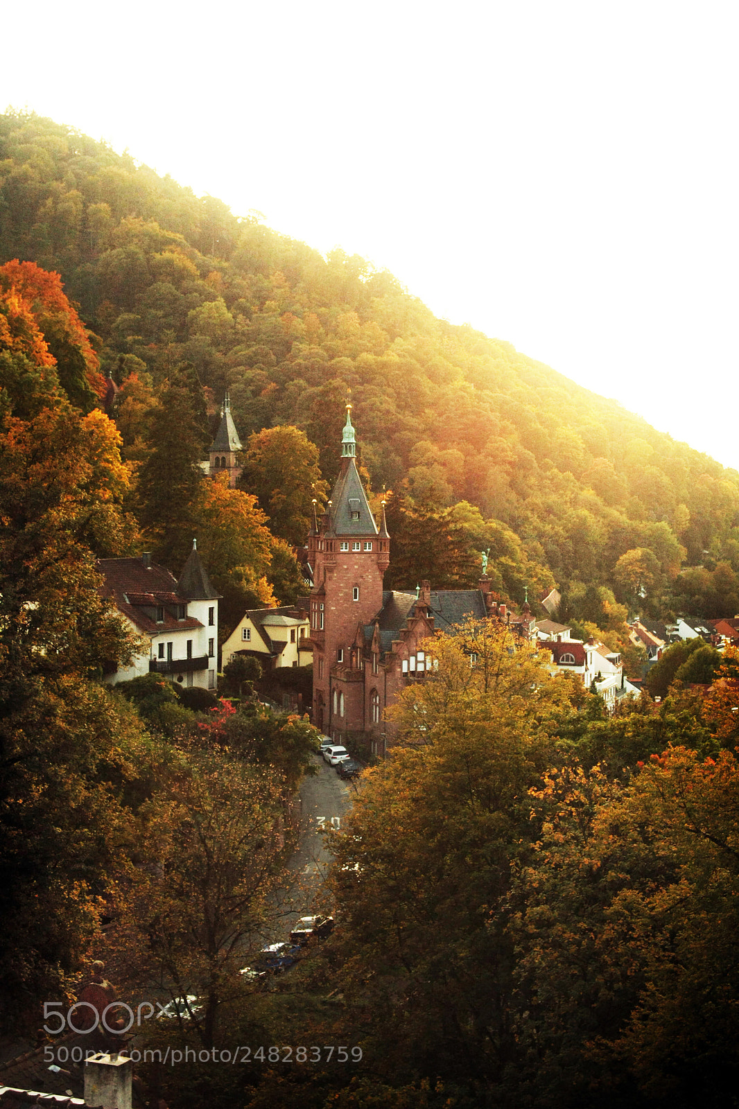 Canon EOS 40D sample photo. Heidelberg sunset photography