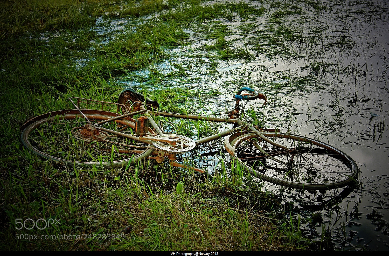 Canon EOS 40D sample photo. Do you miss me photography