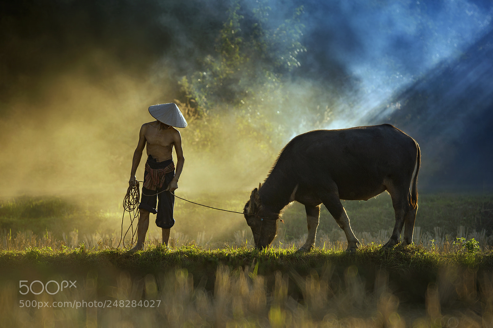 Nikon D4 sample photo. The farmer ,thailand photography