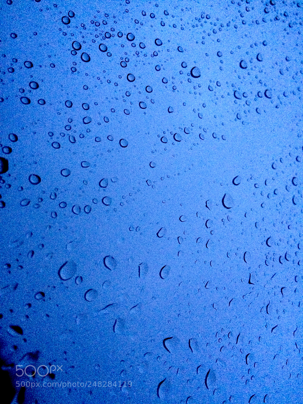 Apple iPhone 5s sample photo. Untitled photography