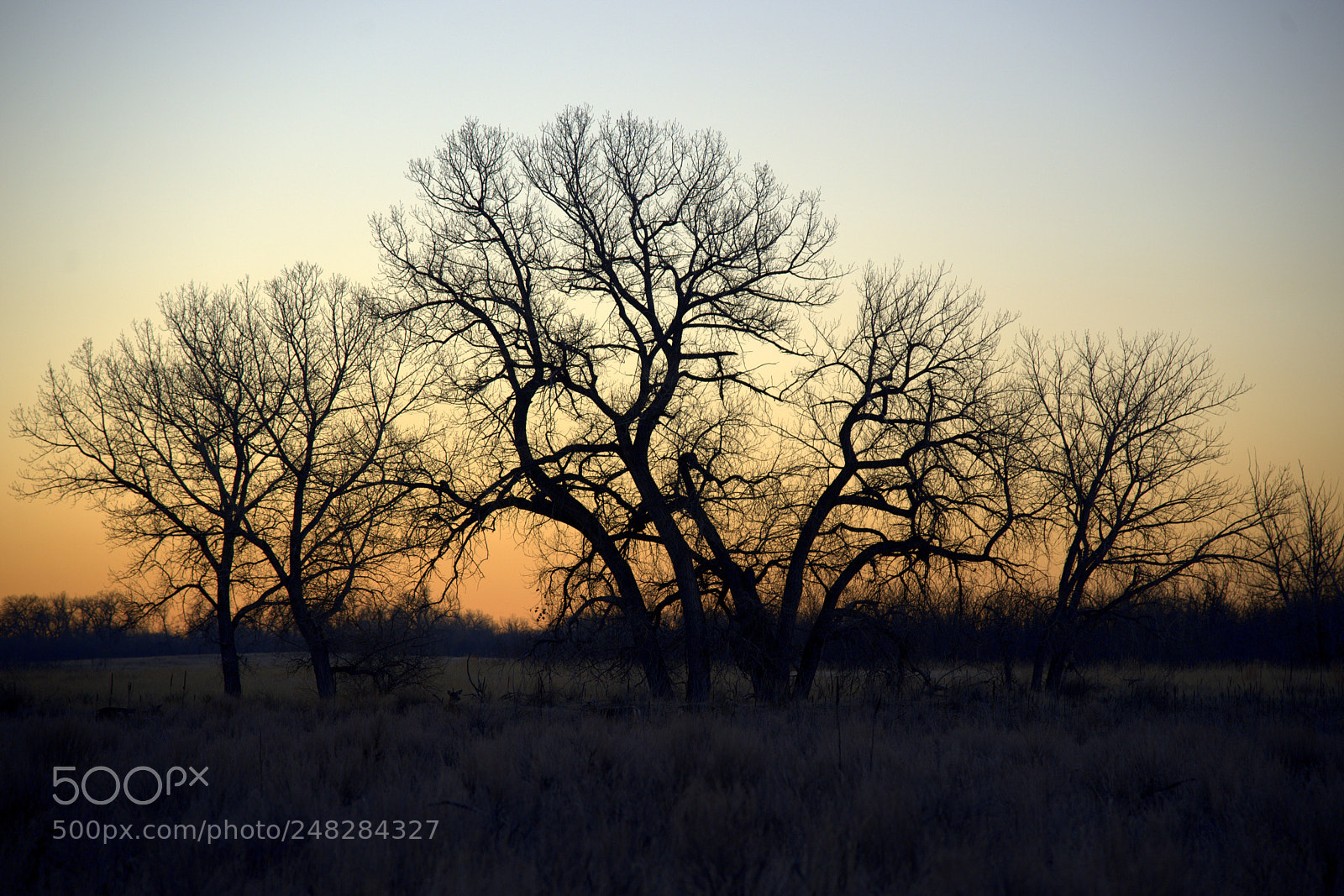 Nikon D610 sample photo. Daybreak photography