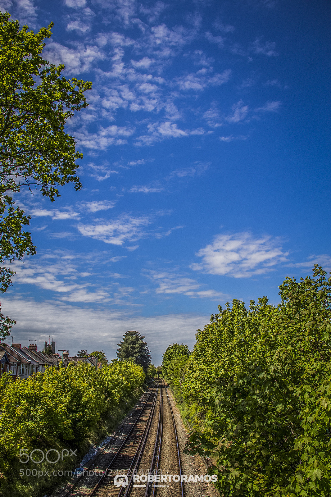 Canon EOS 60D sample photo. Railway to infinite photography