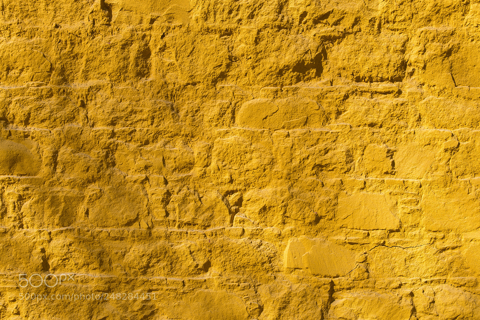 Nikon D610 sample photo. Yellow wall photography